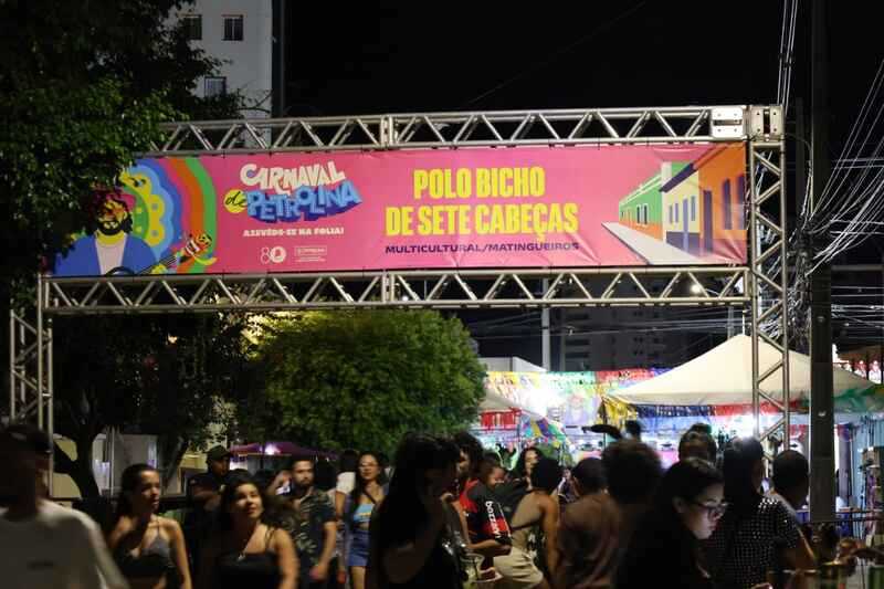 Carnaval 4 Easy Resize.com