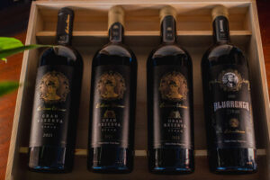 BE vinhos Easy Resize.com