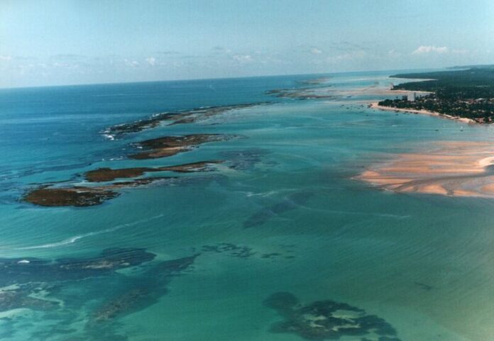 Pernambuco