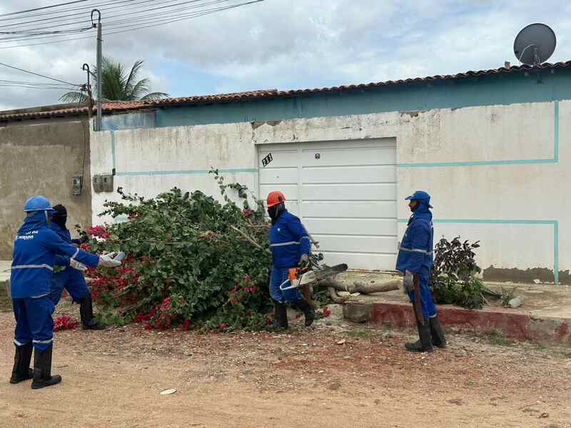 Petrolina