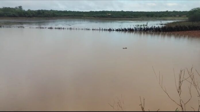 Petrolina