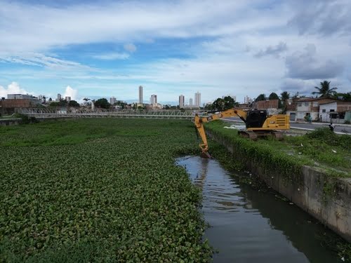 Limpeza da vegetacao no Canal do