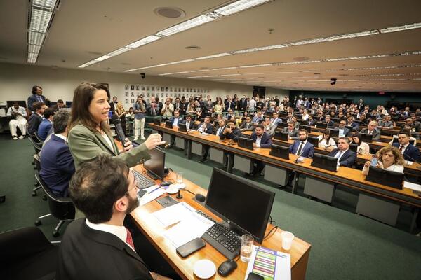 Em encontro com prefeitos e a bancada federal em Brasília, governadora Raquel Lyra destaca parceria com municípios 1 Hesiodo Goes Secom 3 12